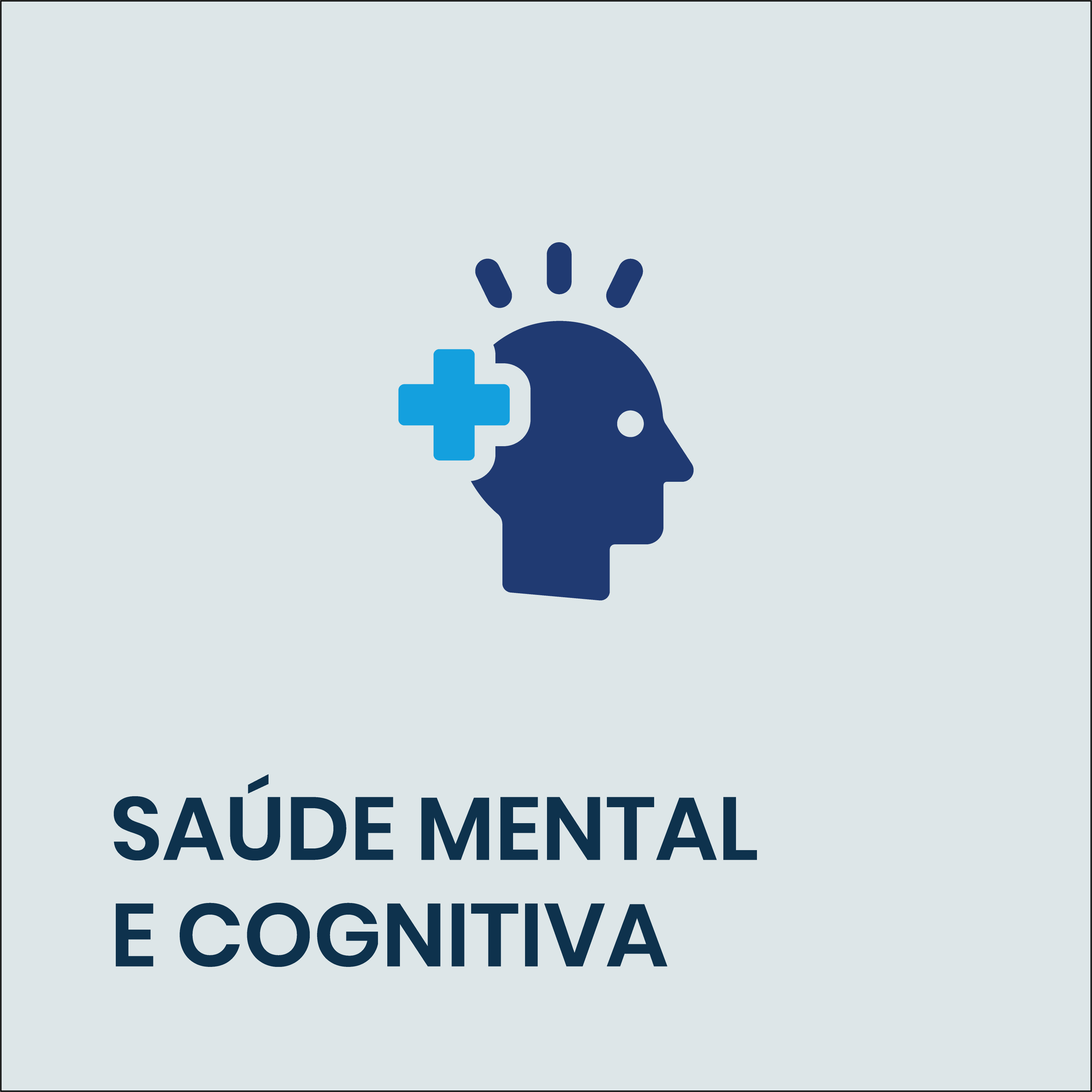 SAÚDE MENTAL.png
