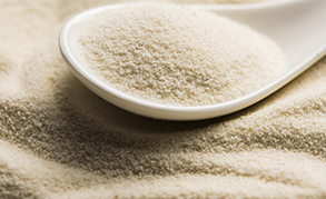 prebiotico blog mini.png